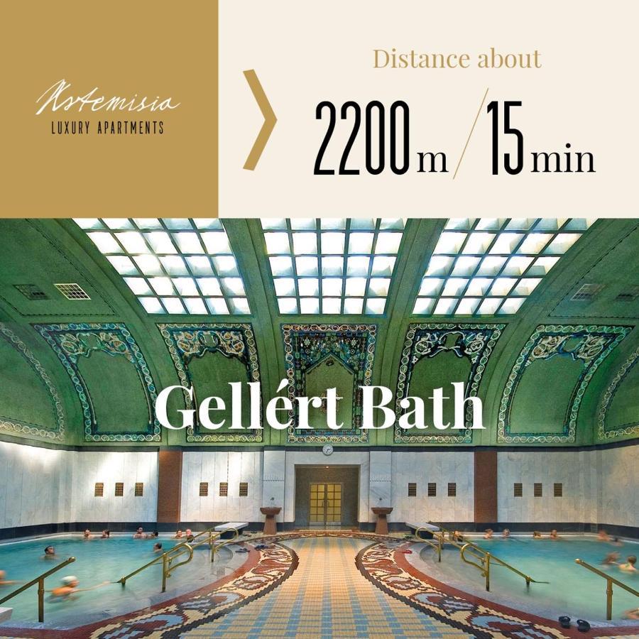 בודפשט Artemisia Luxury Apartments Penthouse מראה חיצוני תמונה